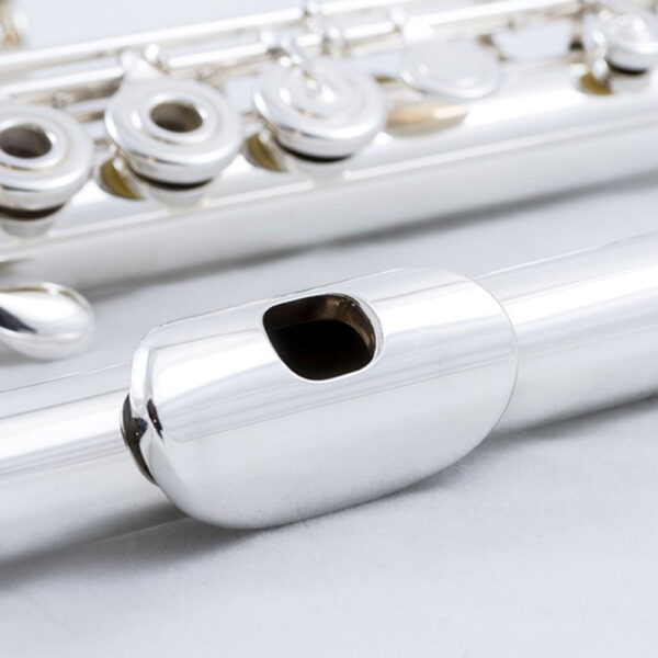 Haynes Q1 OEC flauta