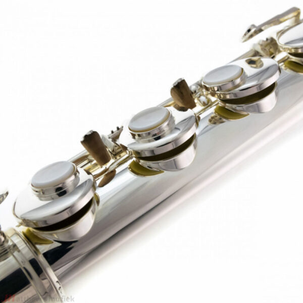 Trevor James Performer 33223 alt flauta