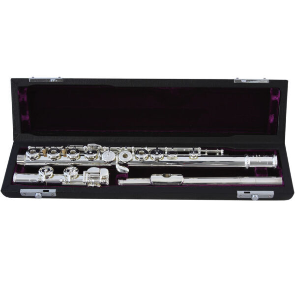 Trevor James PRIVILEGE 31PF-HROE flauta